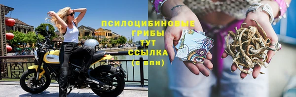 героин Алзамай