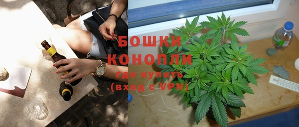 ПСИЛОЦИБИНОВЫЕ ГРИБЫ Новодвинск