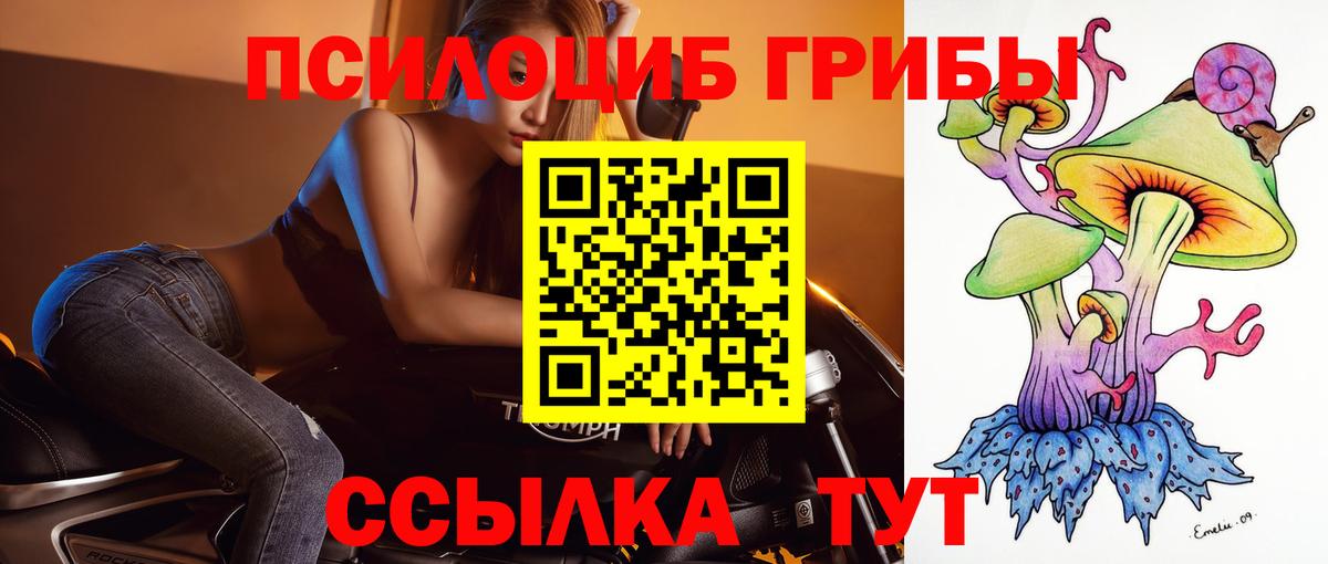 Тамбов  Псилоцибиновые грибы Cubensis  Вход с VPN  Галлюциногенные грибы ЛСД 