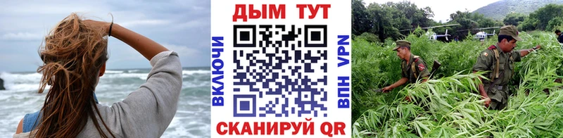 Шишки марихуана сатива  где продают   Тамбов 